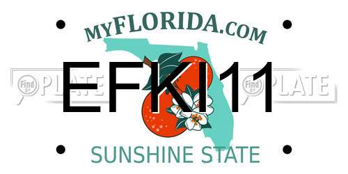 EFKI11 Florida License Plate