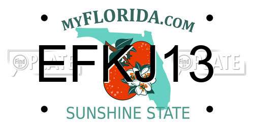 EFKJ13 Florida License Plate