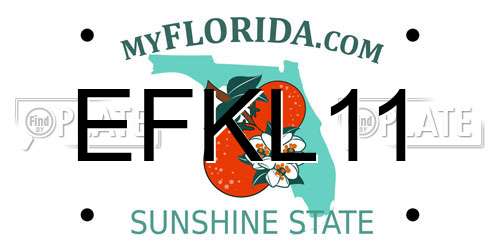EFKL11 Florida License Plate