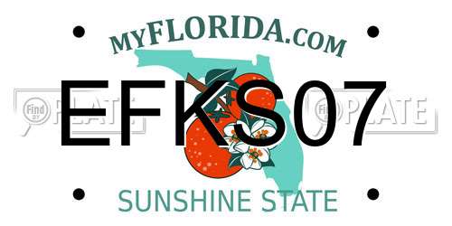 EFKS07 Florida License Plate