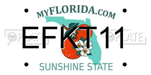EFKT11 Florida License Plate