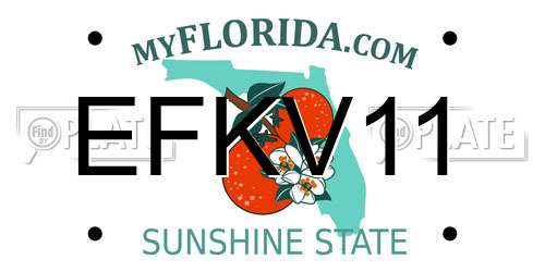 EFKV11 Florida License Plate