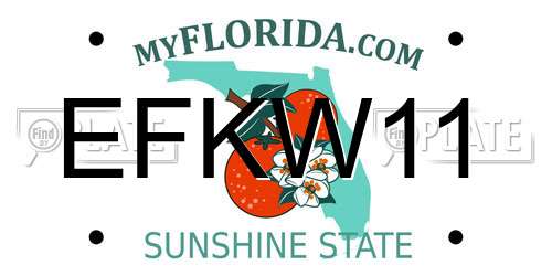 EFKW11 Florida License Plate