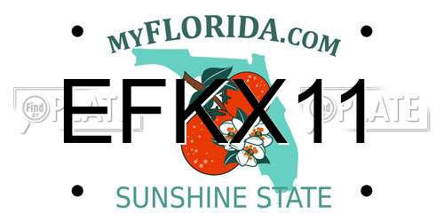 EFKX11 Florida License Plate