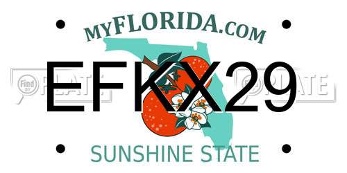 EFKX29 Florida License Plate