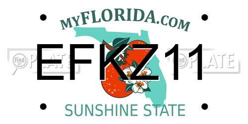 EFKZ11 Florida License Plate
