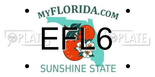 EFL6 Florida License Plate