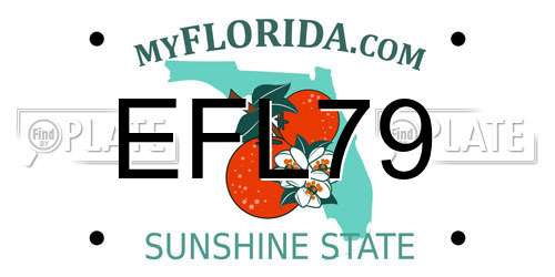 EFL79 Florida License Plate