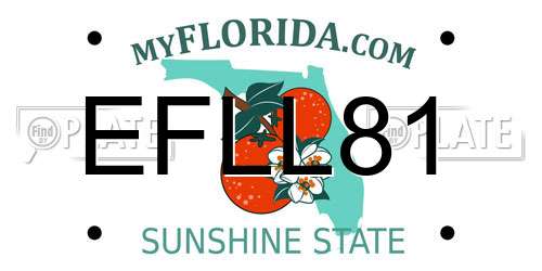 EFLL81 Florida License Plate