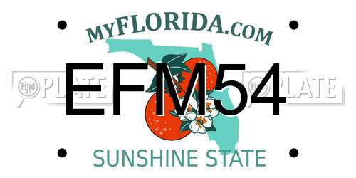 EFM54 Florida License Plate