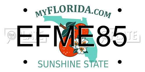 EFME85 Florida License Plate