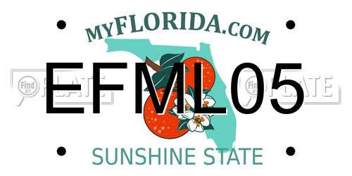 EFML05 Florida License Plate