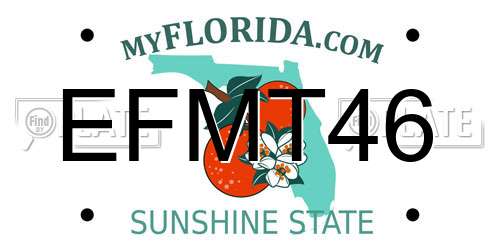 EFMT46 Florida License Plate