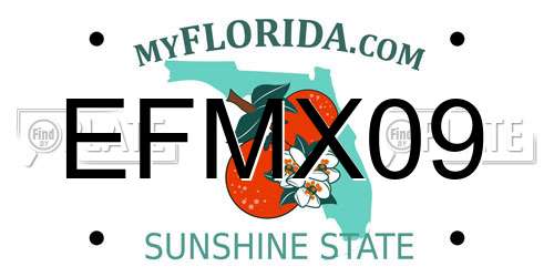EFMX09 Florida License Plate