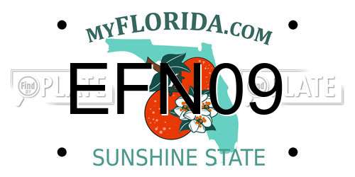 EFN09 Florida License Plate
