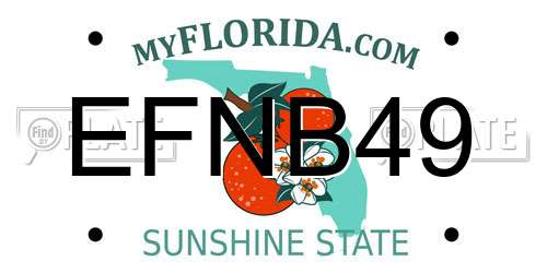 EFNB49 Florida License Plate