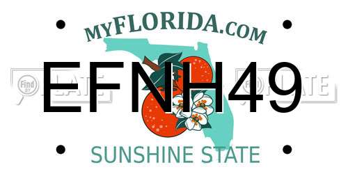 EFNH49 Florida License Plate