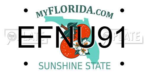 EFNU91 Florida License Plate