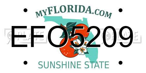 EFO5209 Florida License Plate