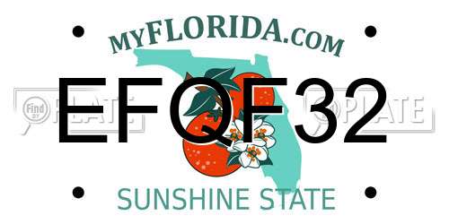 EFQF32 Florida License Plate
