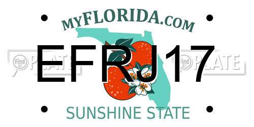 EFRJ17 Florida License Plate