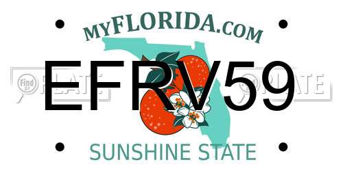 EFRV59 Florida License Plate