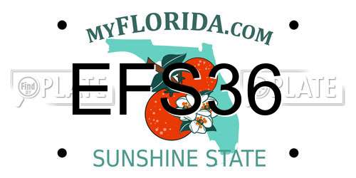 EFS36 Florida License Plate