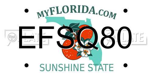 EFSQ80 Florida License Plate