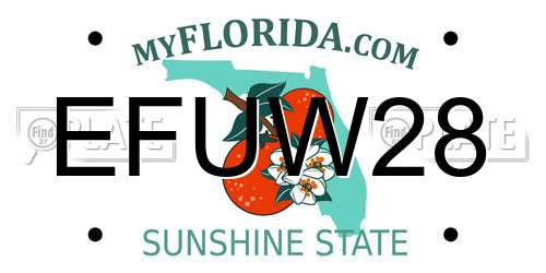EFUW28 Florida License Plate