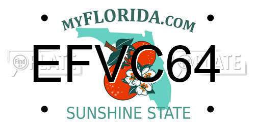 EFVC64 Florida License Plate