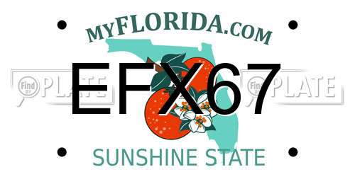 EFX67 Florida License Plate
