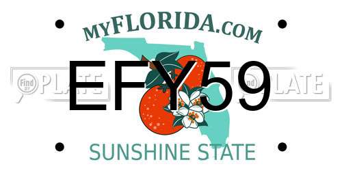 EFY59 Florida License Plate