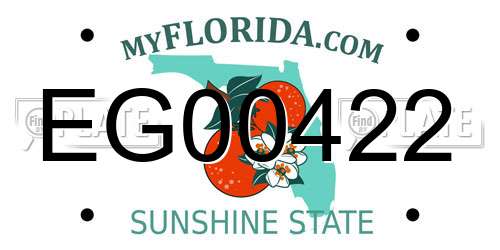 EG00422 Florida License Plate