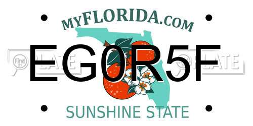 EG0R5F Florida License Plate