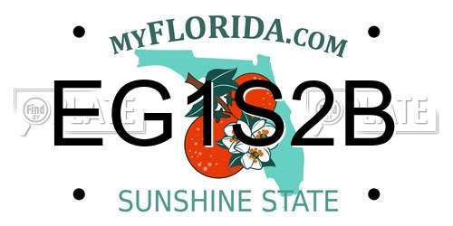 EG1S2B Florida License Plate