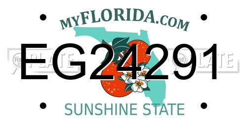 EG24291 Florida License Plate