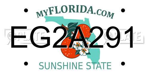 EG2A291 Florida License Plate