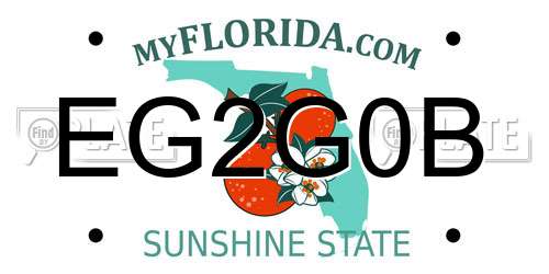 EG2G0B Florida License Plate