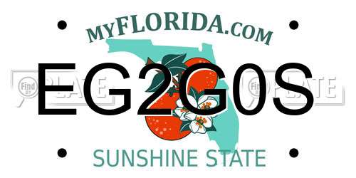 EG2G0S Florida License Plate