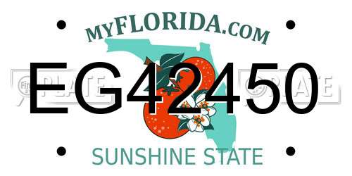 EG42450 Florida License Plate