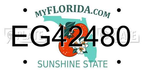 EG42480 Florida License Plate