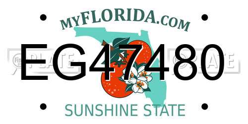 EG47480 Florida License Plate
