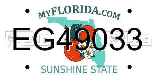 EG49033 Florida License Plate