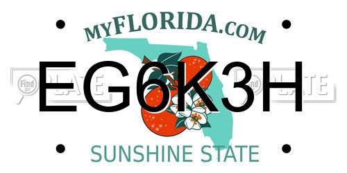 EG6K3H Florida License Plate