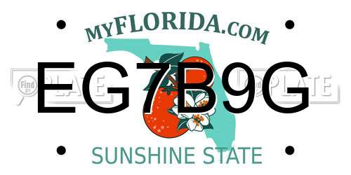 EG7B9G Florida License Plate