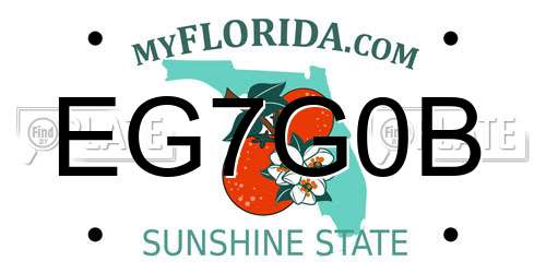 EG7G0B Florida License Plate