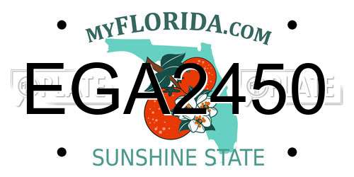 EGA2450 Florida License Plate
