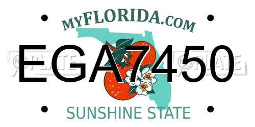 EGA7450 Florida License Plate