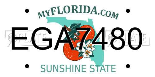 EGA7480 Florida License Plate