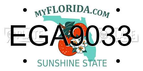 EGA9033 Florida License Plate